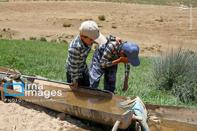 عکس / معلمی برای 3 دانش آموز 19