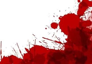 سرقت مرگبار لندکروز از شاگرد نمایشگاهی / قاتل مسلح به دام پلیس افتاد