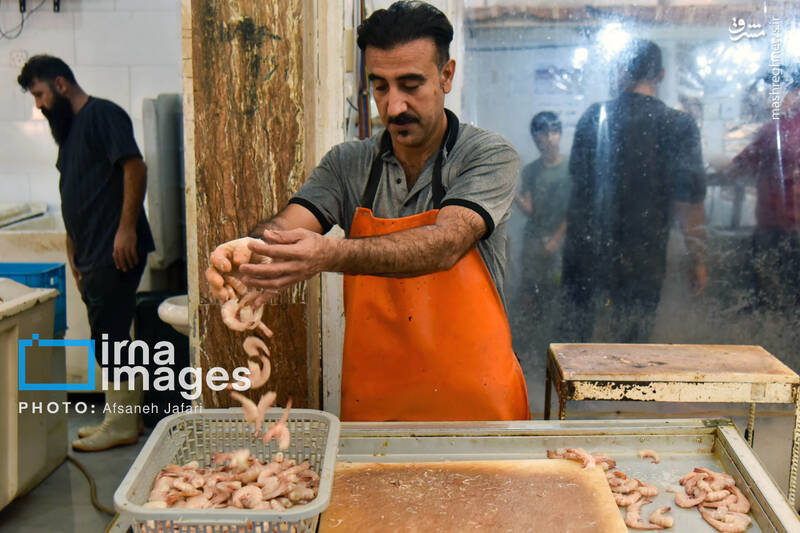 عکس / فروش میگو روی لنج 12