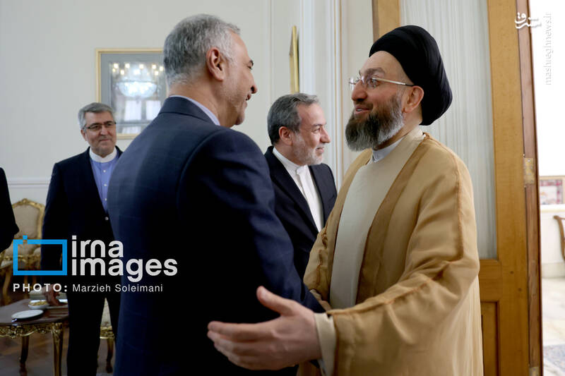 عکس / دیدار سید عمار حکیم با وزیر امور خارجه 9