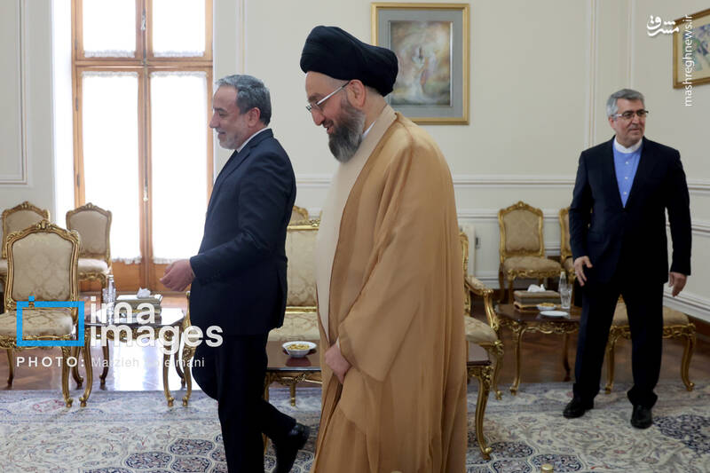 عکس / دیدار سید عمار حکیم با وزیر امور خارجه 10