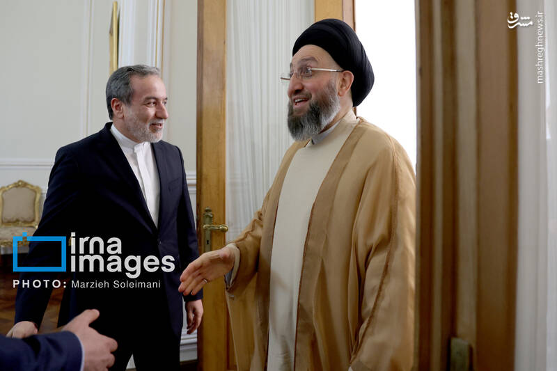 عکس / دیدار سید عمار حکیم با وزیر امور خارجه 8