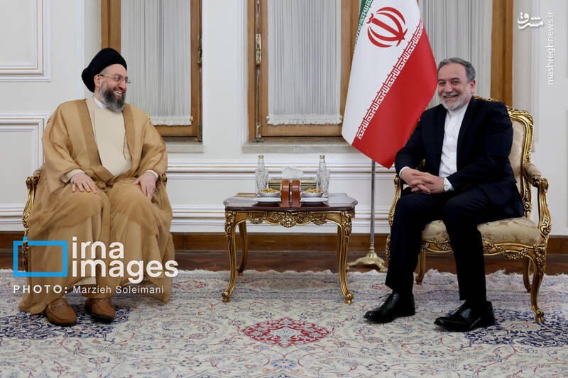 عکس / دیدار سید عمار حکیم با وزیر امور خارجه 11