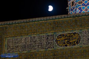 زاویه دید کبوترها به گنبد حرم امام رضا(ع) تغییر کرد