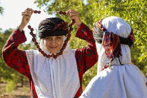 عکس/ برداشت عناب در دل کویر