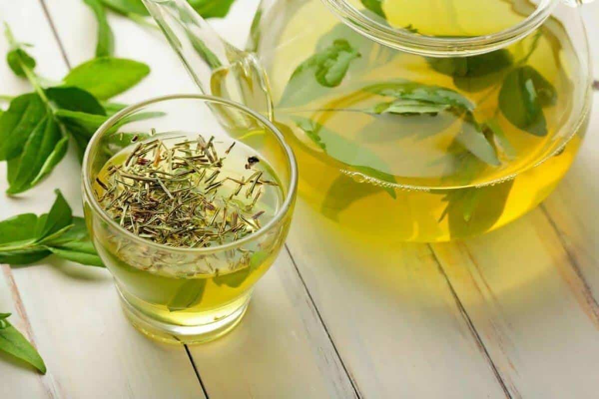 چای سبز اصل چیست و چرا انتخاب آن اهمیت دارد؟