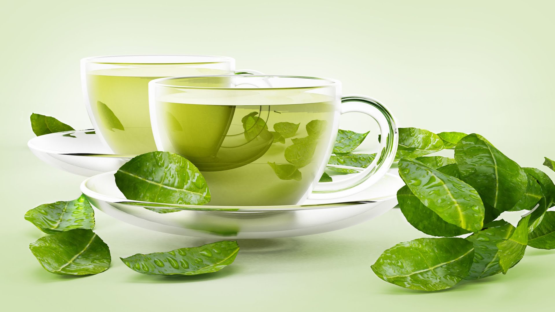 چای سبز اصل چیست و چرا انتخاب آن اهمیت دارد؟