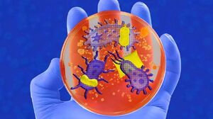 چگونه میکروبها خواب ما را کنترل میکنند؟