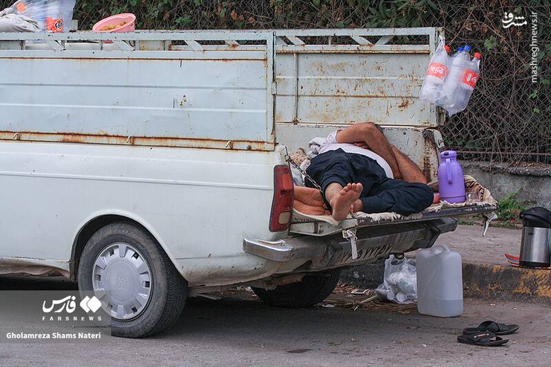 عکس/ اتراق مسافران تابستانی در سواحل چالوس