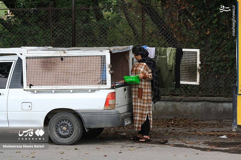 عکس/ اتراق مسافران تابستانی در سواحل چالوس