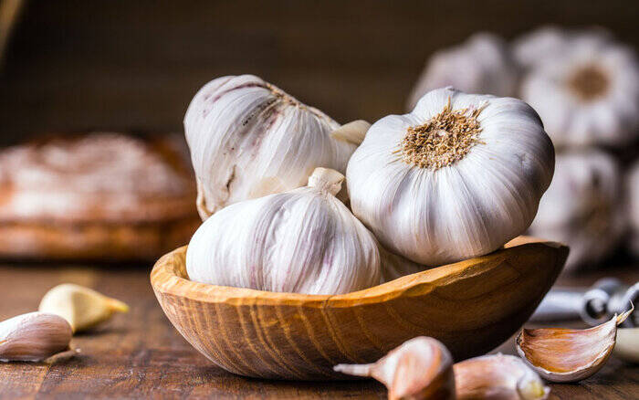 فشار خون خود را با این گیاهان دارویی کنترل کنید 3