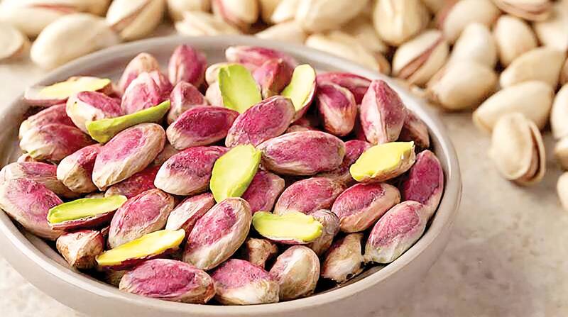 سیستان و بلوچستان پیشرو در تولید پسته ارگانیک کشور 4