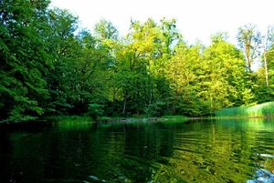 فراخین؛ دریاچهای بکر که آرامش را هدیه میکند