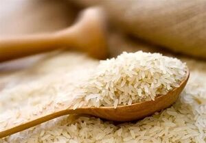 توزیع 150 هزار تن برنج هندی و پاکستانی در بازار