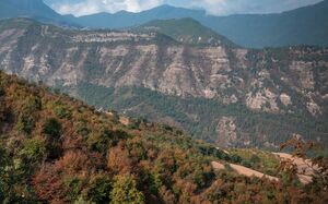 عکس/ خشکسالی در جنگل‌های هیرکانی گلستان