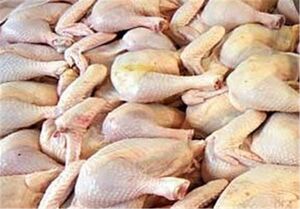 قیمت انواع گوشت مرغ در بازار میوه و تره بار