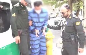 فیلم / قمهکش تهرانپارس دستگیر شد