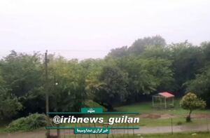 فیلم / بارش باران در آستارا