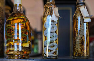 ادعای دروغین در مورد روغن مار