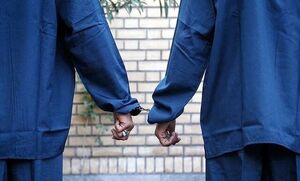 دستگیری 2 کلاهبردار شبکه هرمی با 18 میلیارد تومان کلاهبرداری