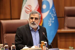 کمالوندی: برای تصویب قطعنامه پیشنهادی ایران تلاش میکنیم