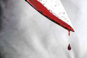 قاتل سریالی 13 مرد مازندرانی:«اشتباه کردم»