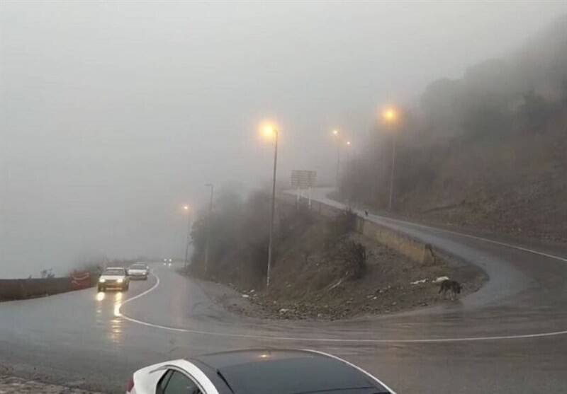 مسير،محدوده،محور