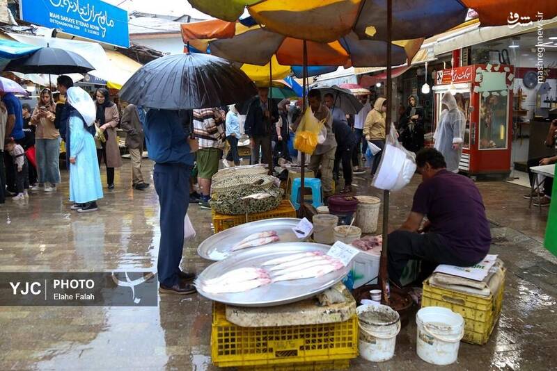 عکس / بدرقه‌ی تابستان با بارش باران در رشت 19