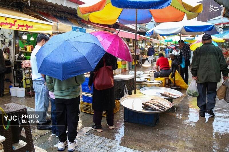 عکس / بدرقه‌ی تابستان با بارش باران در رشت 16