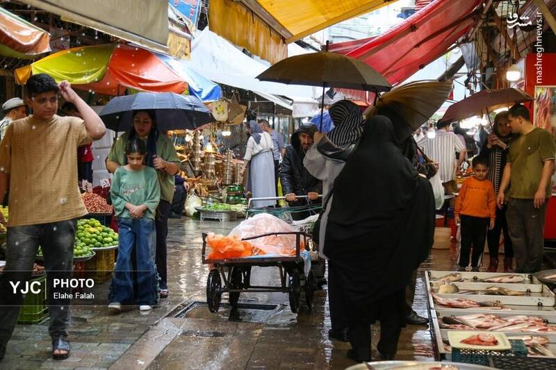 عکس / بدرقه‌ی تابستان با بارش باران در رشت 10
