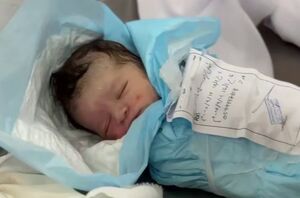 جنایت تکان دهنده رژیم صهیونیستی علیه ۷ کودک فلسطینی - مشرق نیوز