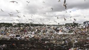 چین با بحران کمبود زباله مواجه شد