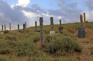 عکس/ قبرستان چوبی «باغلق»