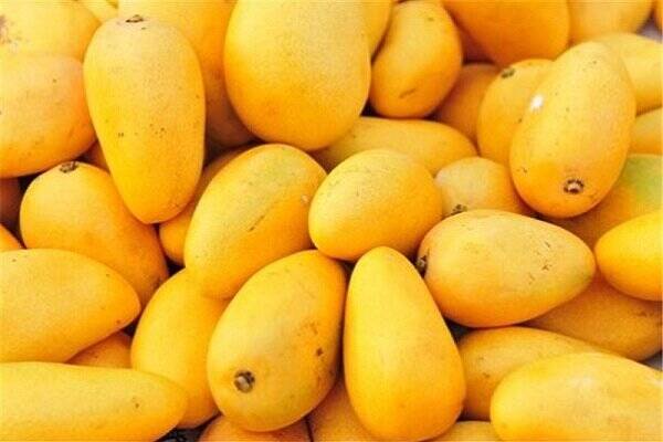 سلطان میوه‌های استوایی با خواص بی‌نظیر 3