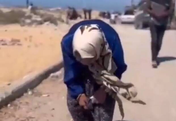 سالخورده