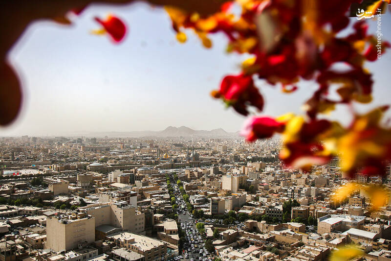 عکس / گلباران حرم حضرت معصومه (س) در سالروز ورود بانوی کرامت به قم 11