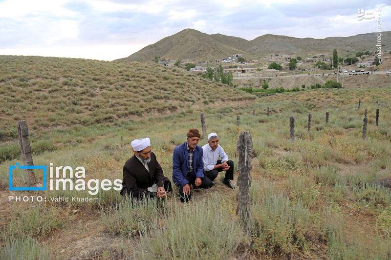 عکس / قبرستان چوبی «باغلق» 16