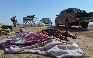 فیلم/ هلاکت ۲ شرور مسلح در منطقه کویری حلوان