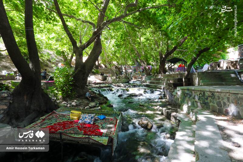 عکس / سراب گیان تابلویی از نقاشی طبیعت 11