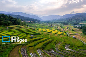  پاییز شگفت‌انگیز دریاچه چورت مازندران
