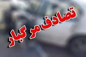 تصادف منجر به فوت در بزرگراه شهید زین‌الدین