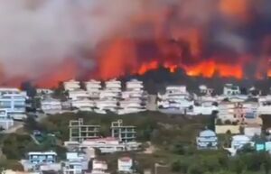 آتش‌سوزی جنگلی در ترکیه