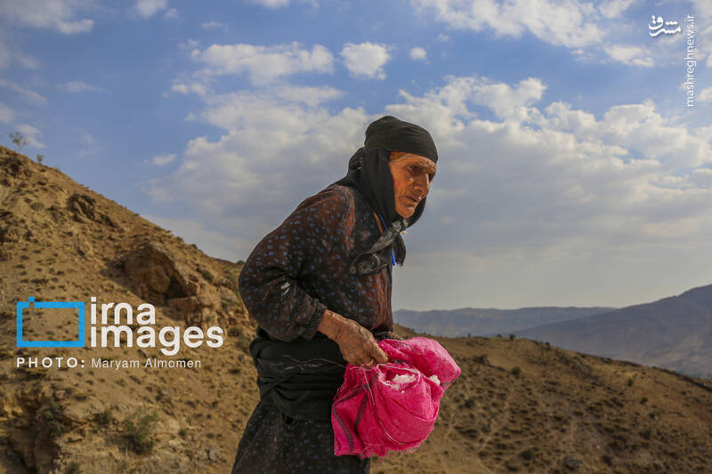 عکس / معدن نمک «قلعه رشید» 25