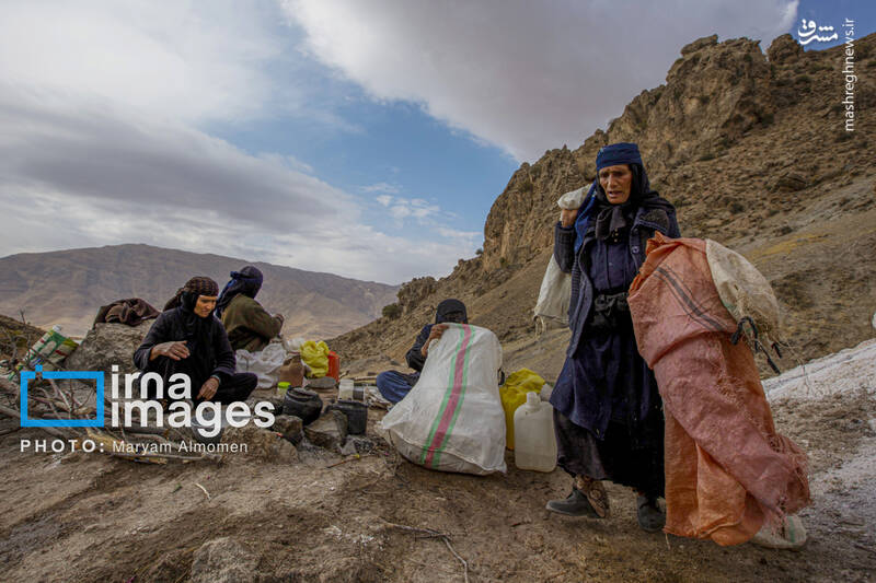 عکس / معدن نمک «قلعه رشید» 16