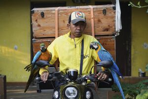 عکس/ از مکانیکی موتور تا مربیگری طوطی