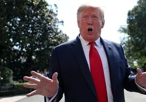 سیاستمداران همه‌چیزدان!