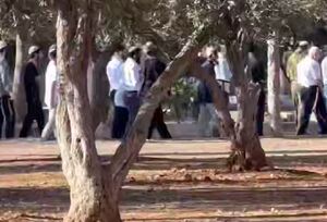 هتک حرمت مسجد الاقصی از سوی اشغالگران