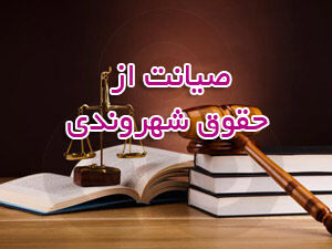 فیلم/ سالی که گذشت و ماجرای صیانت از حقوق مردم