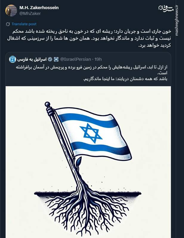 درخت سست ریشه اسرائیل در خاک فلسطین