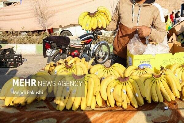 دانه،قهوه،كشور،واردات،محصولات،داخل،بازار،كنجد